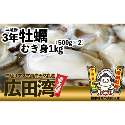 むき身牡蠣 Lサイズ 1kg(500g×2p) 【 横綱牡蠣の吉田水産 】 かき カキ 三陸産