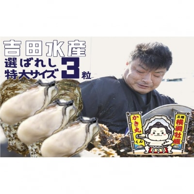 選ばれし むき身牡蠣 特大サイズ 3粒 《数量限定》【 横綱牡蠣の吉田水産 】 かき カキ