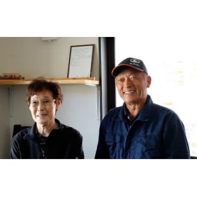 陸前高田市産 米粉1kg ひとめぼれ100% 使用 おためしサイズ