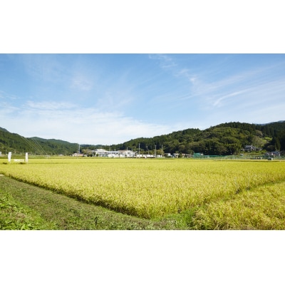 令和7年産 新米 たかたのゆめ 白米 5kg 【オフィスTOBA】