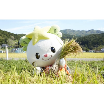 令和7年産 新米 たかたのゆめ 白米 5kg 【オフィスTOBA】