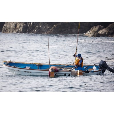 焼きうに 80g×1個 [ ミョウバン不使用 ] 広田湾漁協からお届け!