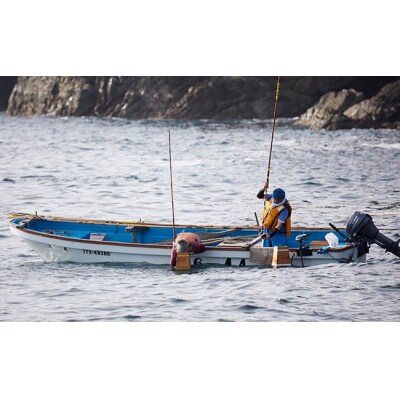 焼きうに&塩うに 食べ比べセット [ ミョウバン不使用 ] 広田湾漁協からお届け!