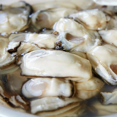 【訳あり】むき身牡蠣500g 〈規格外/不揃い〉【 横綱牡蠣の吉田水産 】 かき カキ 三陸産