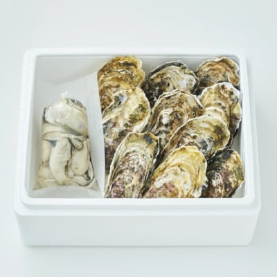 生食用殻付き牡蠣 & 加熱用むき身牡蠣 セット 『一本松牡蠣』