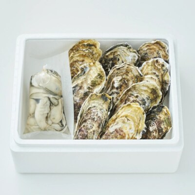 【先行受付】 生食用 殻付き牡蠣 & 加熱用 むき身牡蠣 セット 『一本松牡蠣』 かき カキ 旬