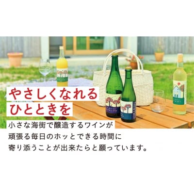 「大人の贅沢りんごジュース」 りんご屋まち子のアップルジュース 720ml×1本 りんご 飲料