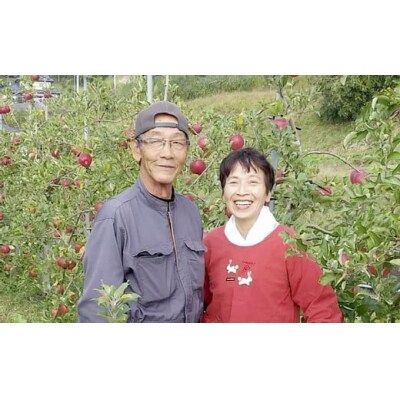 りんごジュース ギフトセット 335ml×5本 品種ミックス 【煌め希りんご園】