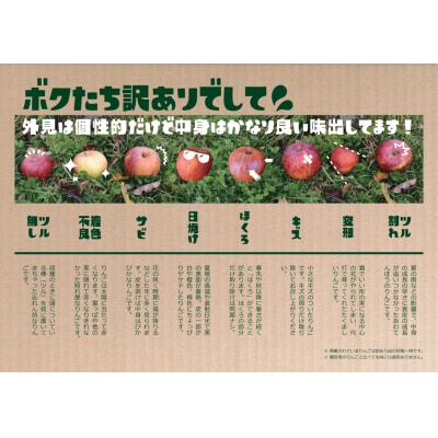 先行受付 【ご家庭用】 りんご 「サンふじ」約3kg 【 産地直送 数量限定 】