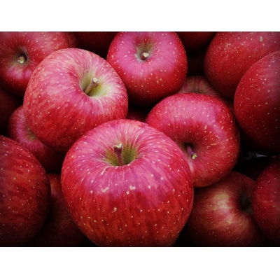 先行受付 【ご家庭用】 りんご 「サンふじ」約3kg 【 産地直送 数量限定 】