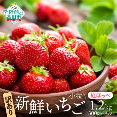 新鮮いちご 品種:紅ほっぺ 約1.2kg (300g×4パック) フルーツ 訳あり 小粒