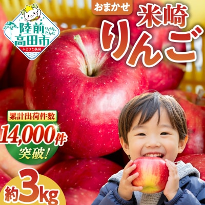 数量限定 米崎りんご3kg 品種おまかせ 【 旬 りんご リンゴ フルーツ 産地直送 家庭用 】