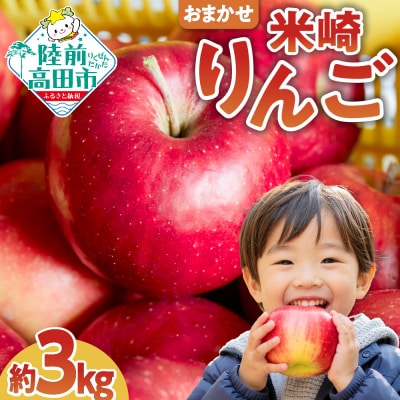 数量限定 米崎りんご3kg 品種おまかせ 【 旬 リンゴ フルーツ 産地直送 家庭用 】