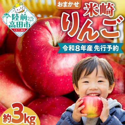 【高評価】 りんご 3kg 品種 おまかせ 数量限定 旬 米崎りんご リンゴ フルーツ 果物 家庭用