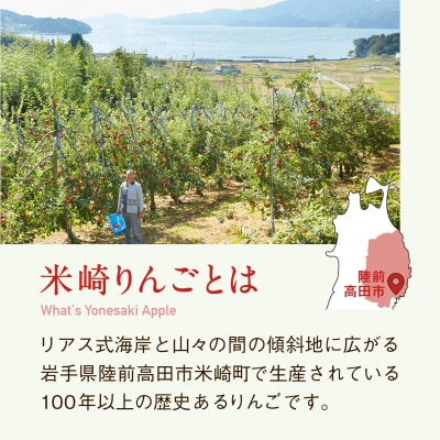 数量限定 米崎りんご3kg 品種おまかせ 【 旬 りんご リンゴ フルーツ 産地直送 家庭用 】