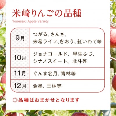 数量限定 米崎りんご3kg 品種おまかせ 【 旬 りんご リンゴ フルーツ 産地直送 家庭用 】