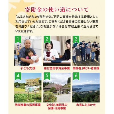 【返礼品なし】 岩手県陸前高田市への応援寄付金 1口 30,000円