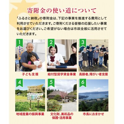 【返礼品なし】 岩手県陸前高田市への応援寄付金 1口 500,000円