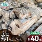 【4回定期便】 強化力 薪(りんごの木)10kg 乾燥薪〈目安:10～15本〉
