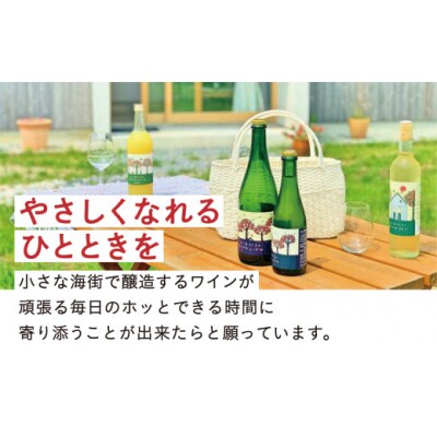 「大人の贅沢りんごジュース」 りんご屋まち子のアップルジュース 720ml×12本セット