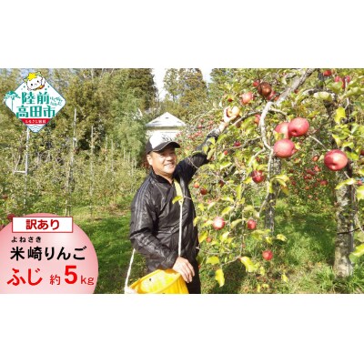 【訳あり/家庭用】 米崎りんご 品種:ふじ 約5kg 【 りんご リンゴ フルーツ 規格外 】