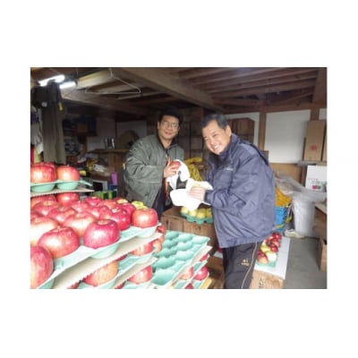 【訳あり/家庭用】 米崎りんご 品種:ふじ 約5kg 【 りんご リンゴ フルーツ 規格外 】