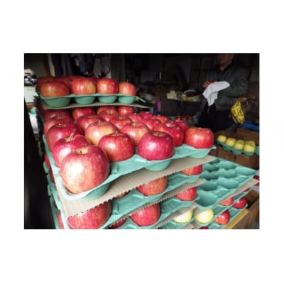 【訳あり/家庭用】 米崎りんご 品種:ふじ 約5kg 【 りんご リンゴ フルーツ 規格外 】