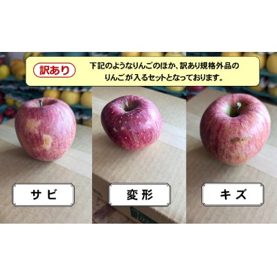 【訳あり/家庭用】 米崎りんご 品種:ふじ 約5kg 【 りんご リンゴ フルーツ 規格外 】