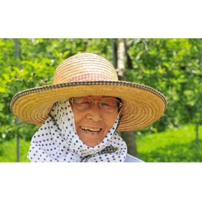  岡田りんご園のりんごジュース 720ml×4本 〈 品種:サンふじ、王林 〉