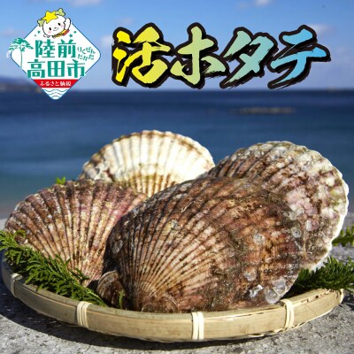 【先行受付】新鮮!殻付き生ホタテセット (目安:10～12枚)