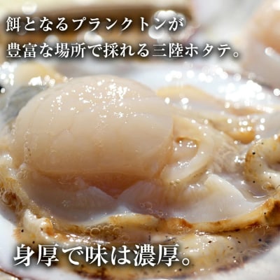 【先行受付】新鮮!殻付き生ホタテセット (目安:10～12枚)