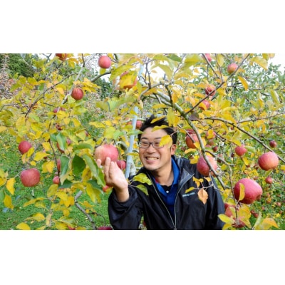 りんごジュース 2種6本セット「APPLE 13.5」 イドバダアップル