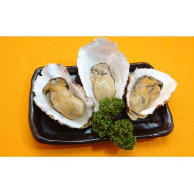 【温めてすぐ食べられる】わいわいの牡蠣のバター焼き&揚げ物2種 各5袋セット