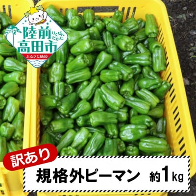 【先行受付】 訳あり 規格外 ピーマン 約1kg 野菜 夏野菜 Farm Koganeyama