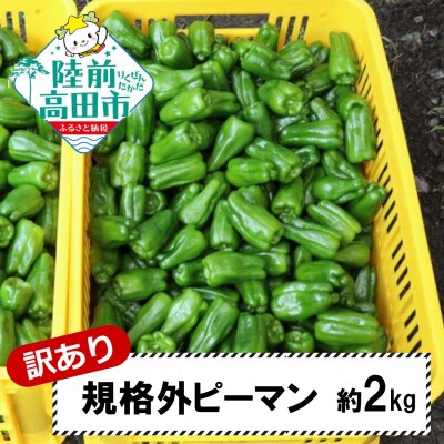 【先行受付】 訳あり 規格外 ピーマン 約2kg 野菜 夏野菜 Farm Koganeyama