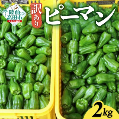 先行受付 訳あり 規格外 ピーマン 約2kg 野菜 夏野菜 Farm Koganeyama