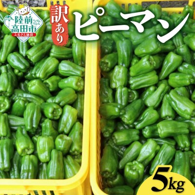 先行予約 訳あり 規格外 ピーマン 約5kg 野菜 夏野菜 Farm Koganeyama