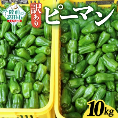 先行予約 訳あり 規格外 ピーマン 約10kg 野菜 夏野菜 Farm Koganeyama