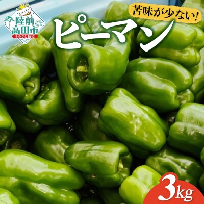 獲れたて ピーマン 約3kg 野菜 夏野菜 新鮮 Farm Koganeyama