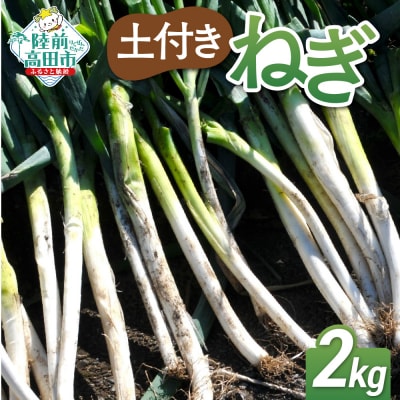 長ねぎ 土付き 約2kg 野菜 白ねぎ 根深ねぎ 新鮮 産地直送 鍋 Farm Koganeyama