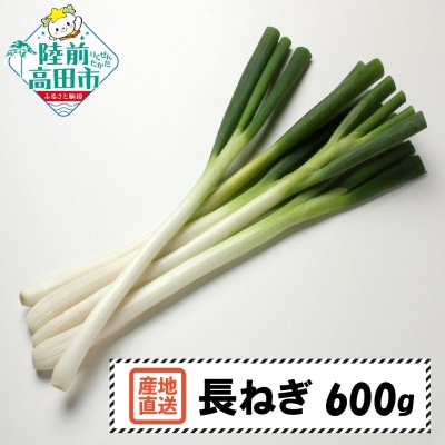 長ねぎ 約600g 野菜 白ねぎ 根深ねぎ 新鮮 産地直送 鍋 Farm Koganeyama