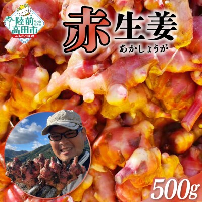 希少品種 赤生姜 約500g しょうが 野菜 薬味 Farm Koganeyama