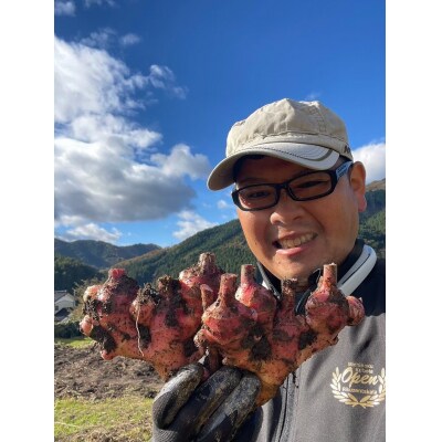 【先行受付】 希少品種 赤生姜 約500g しょうが 野菜 薬味 Farm Koganeyama