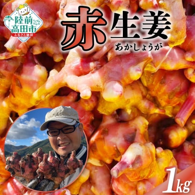 希少品種 赤生姜 約1kg しょうが 野菜 薬味 Farm Koganeyama