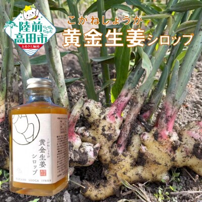 濃厚 黄金生姜 シロップ 200ml×2本 しょうが 生姜 ジンジャー Farm Koganeyam