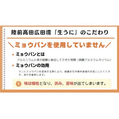 【緊急支援品】三陸産 生うに 400g 塩水パック 獲れたその日に出荷 ウニ 雲丹 天然 濃厚 旬