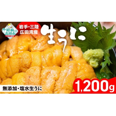 【緊急支援品】三陸産 生うに 1200g 塩水パック 獲れたその日に出荷 ウニ 雲丹 天然 濃厚 旬