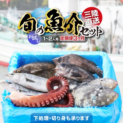 【3ヶ月定期便】三陸海の恵み詰め合わせ 1～2人用 下処理済 旬 鮮魚 海藻 新鮮