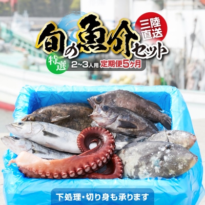 【5ヶ月定期便】特選 三陸海の恵み詰め合わせ 2～3人用 下処理済 旬 鮮魚 海藻 新鮮