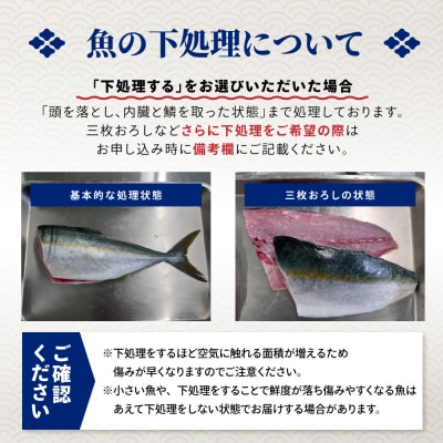 【隔月6回定期便】特選 三陸海の恵み詰め合わせ 2～3人用 下処理済 旬 魚 鮮魚 新鮮 天然 刺身